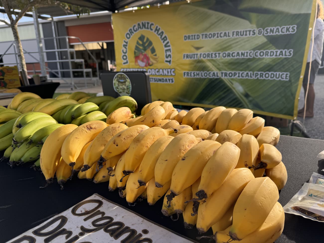 A market stall table stacked with ripe and green bananas early in the morning, under a banner for a certified organic grower