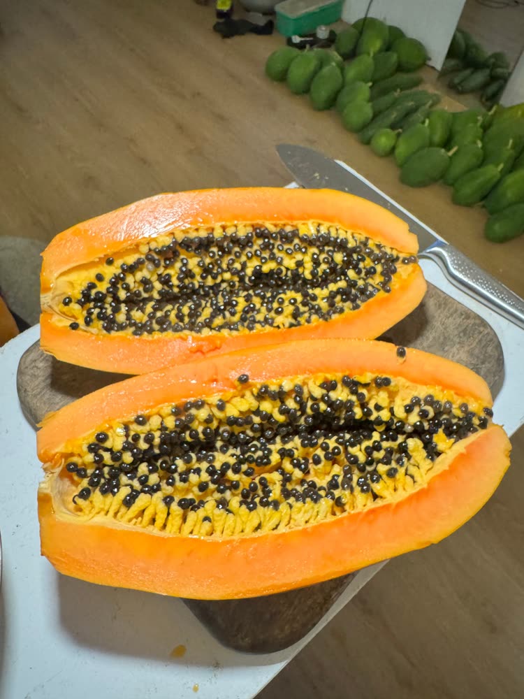 A ripe papaya cut lengthwise into two halves, deep orange flesh around a bed of black seeds