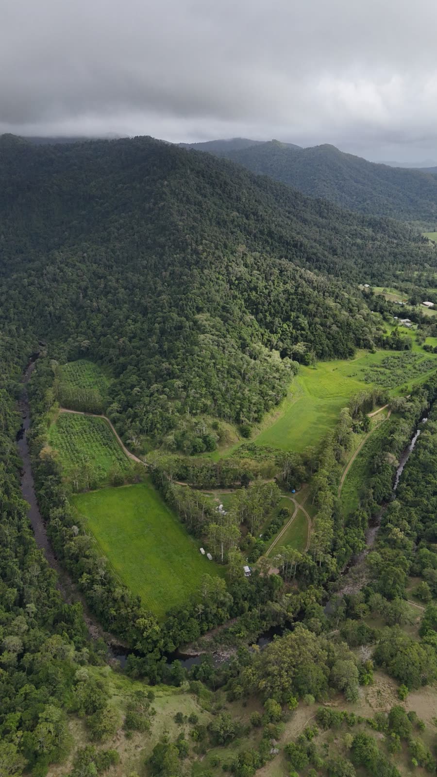 Aerial view along a forested valley, a creek curling around cleared paddocks and plantation blocks with ranges and low cloud beyond