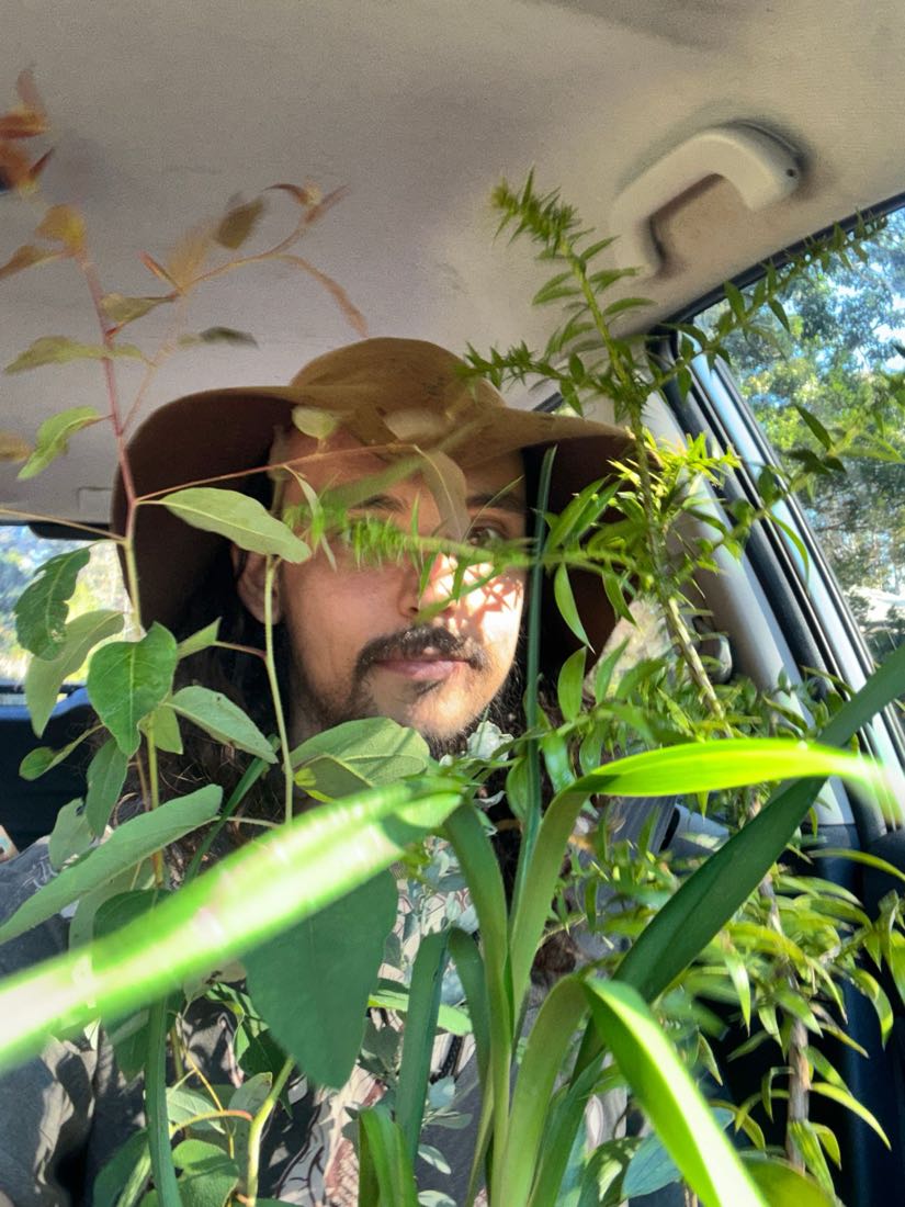 Joel in a car almost entirely obscured by native seedlings filling the seats and windows