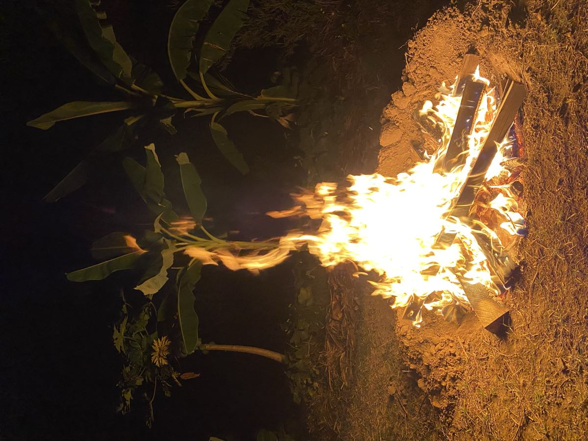 A pit fire burning at night with banana plants lit behind it