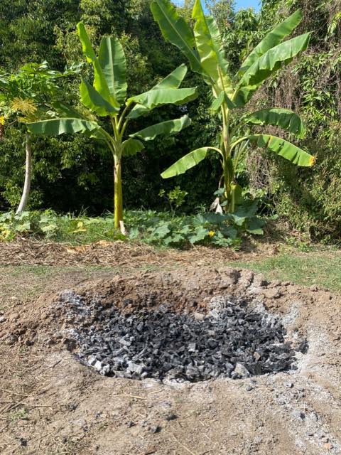 A shallow pit filled with black charcoal, bananas and papaya behind