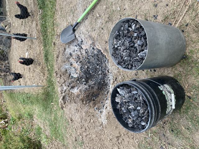 Two buckets filled with charcoal beside the emptied pit, chickens in the background