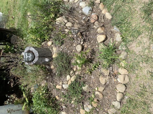 The herb spiral with herbs established between the stones