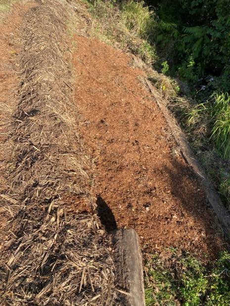The planted bed covered with a thick layer of mulch