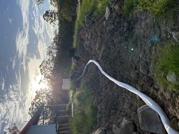 A long open trench behind a house with white perforated agricultural pipe laid along it