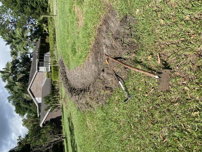 A freshly dug contour swale curving across grass at the top of an orchard