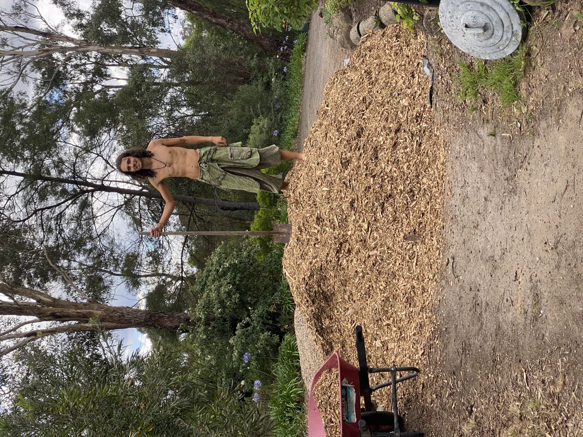Joel standing on top of a large pile of woodchip mulch with a shovel
