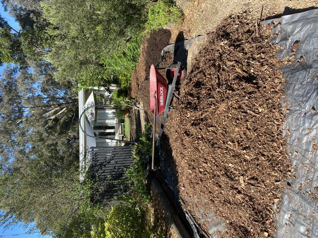 A heap of mulch tipped onto a tarpaulin with a red wheelbarrow beside it