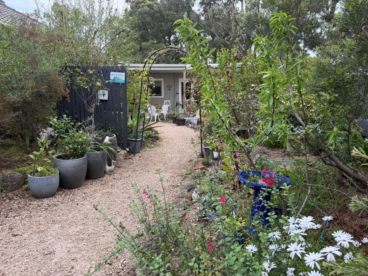 The same view transformed, with a gravel path, planted archway, potted plants and dense flowering beds