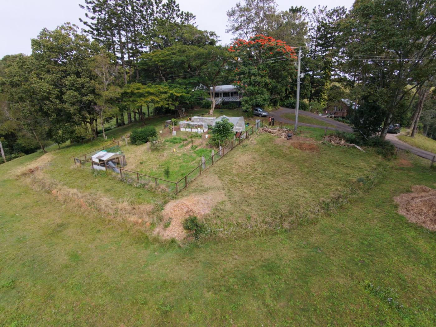 Hero photo, canopy, fruit trees or hands in soil (landscape)