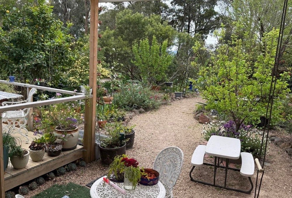 Flowering beds and gravel path through the Hurstbridge garden