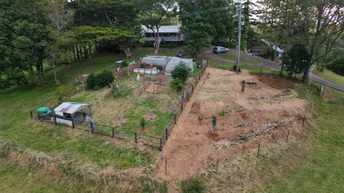Return visit, established garden, pruning or chop-and-drop (landscape)