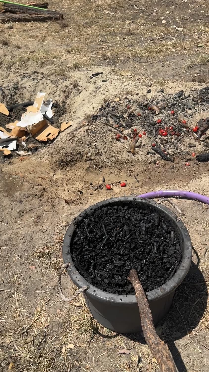 A tub of quenched black biochar being stirred with a stick beside the pit it came from