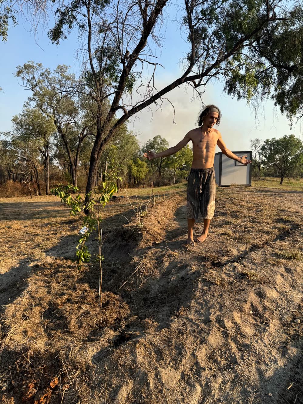 A young fruit tree planted on a hand-dug swale in sandy ground, a person standing beside it with smoke in the distance