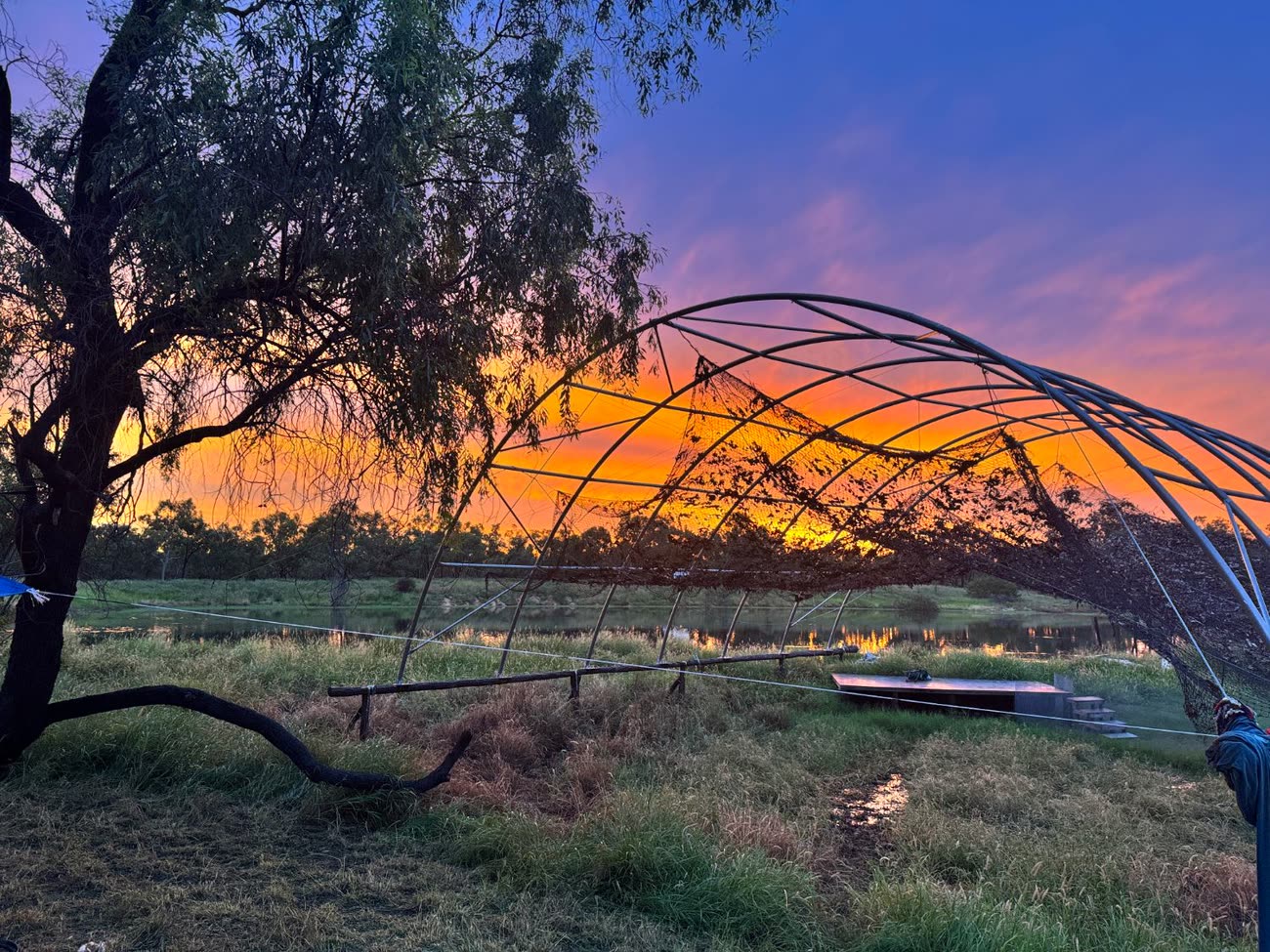 A netted polytunnel frame beside a dam at sunset, green grass underfoot and an orange and violet sky behind