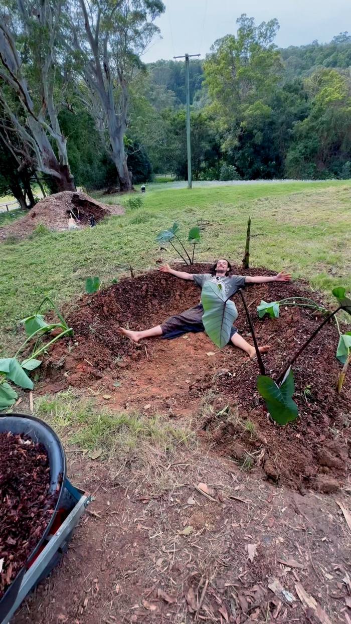 Planted mound, taro and banana